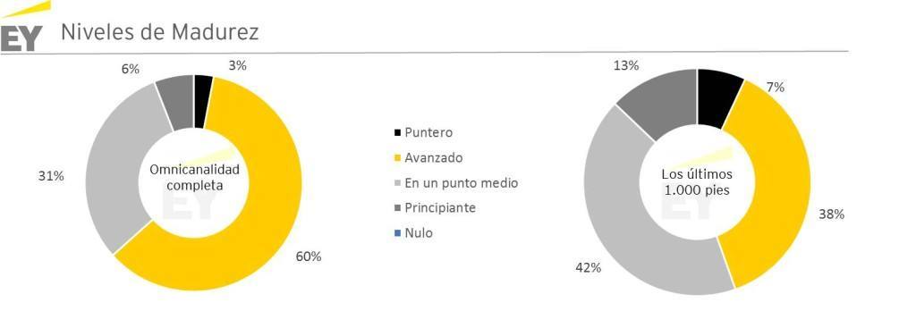 Primer gráfico niveles de madurez (1)