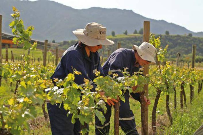 Industria agroalimentaria