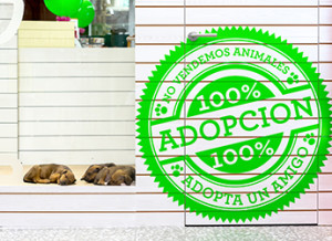 adopcion tienda animal