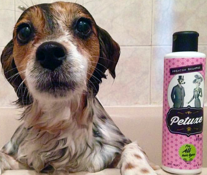 Petuxe, marca cosmética vegana para mascotas