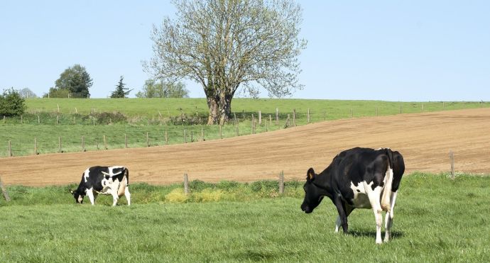 1 de cada 4 compradores se fija en el origen de los alimentos