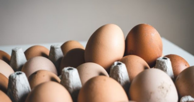 huevos ecológicos