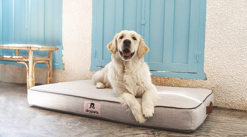 Drypets, la marca de textiles inteligentes para mascotas del Grupo Atenzza