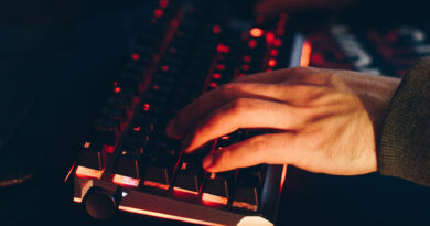 El consumidor español, el segundo más preocupado por el fraude online
