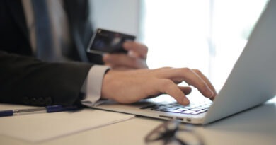 La administración pública y los carburantes lideran el ecommerce doméstico