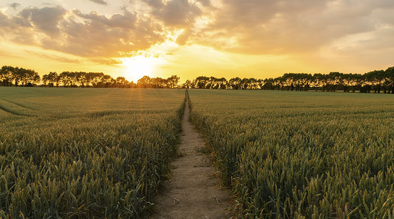 Tetra Pak adquiere nuevos compromisos de acción a favor de la naturaleza