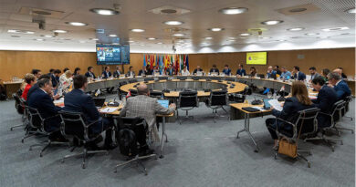 ayuda pymes españolas