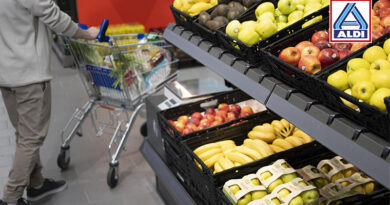 compra productos frescos