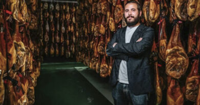jamón en temu