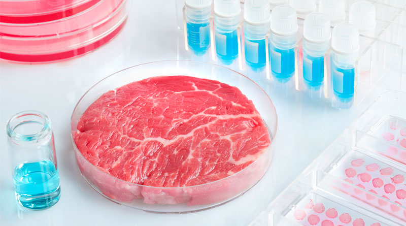 Vox presenta una iniciativa para prohibir la carne sintética