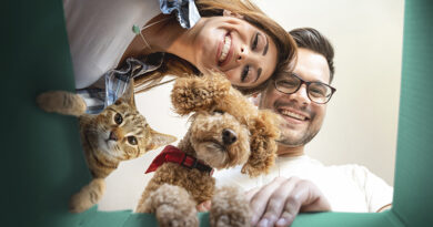 los españoles destinan una media de 165 euros mensuales al cuidado de sus mascotas