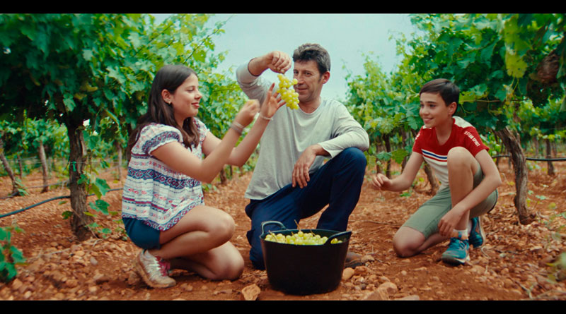 Agroseguro ensalza la labor del campo en la campaña ‘Nada crece solo’