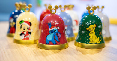 La iniciativa, íntegramente solidaria, busca mejorar el diagnóstico y la calidad de vida de la infancia con enfermedades raras