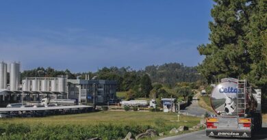 Más de 60 niños y adolescentes participaron en el programa de bienestar emocional desarrollado junto a Aldeas Infantiles Galicia