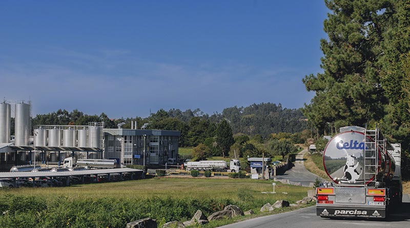 Más de 60 niños y adolescentes participaron en el programa de bienestar emocional desarrollado junto a Aldeas Infantiles Galicia
