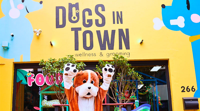 La australiana Dogs in Town aterriza en España con un primer espacio en Madrid