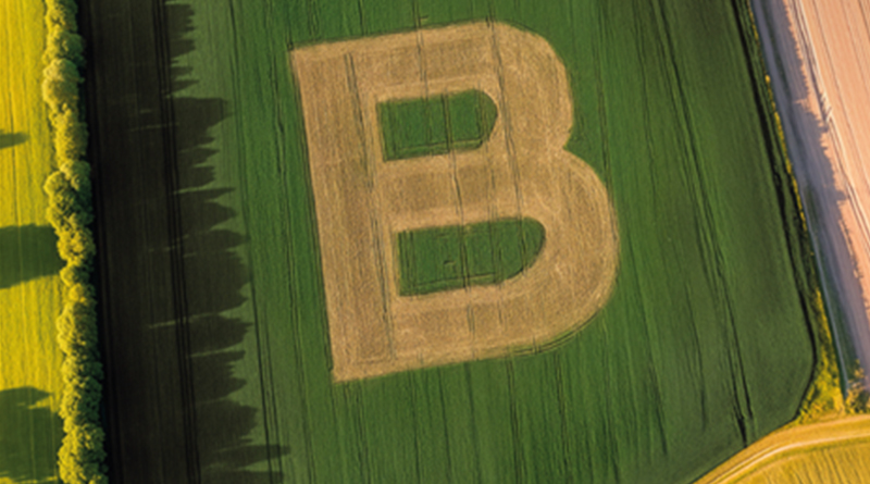 Bonduelle logra la certificación B Corp en todas sus operaciones Bonduelle logra la certificación B Corp en todas sus operaciones