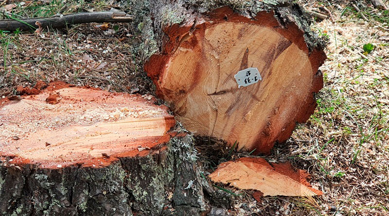 Fundación COPADE presenta nuevo posicionamiento Fundación COPADE presenta nuevo posicionamiento