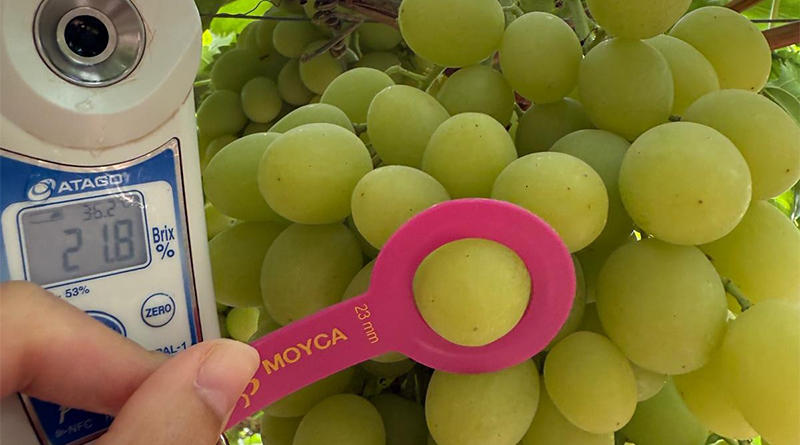 Moyca integra una aplicación para digitaliza los muestreos de calidad