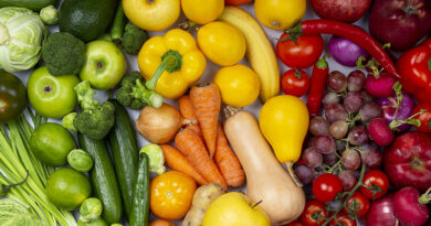 Las exportaciones de frutas y hortalizas volvieron a crecer en 2025, hasta alcanzar los 18.569 millones de euros